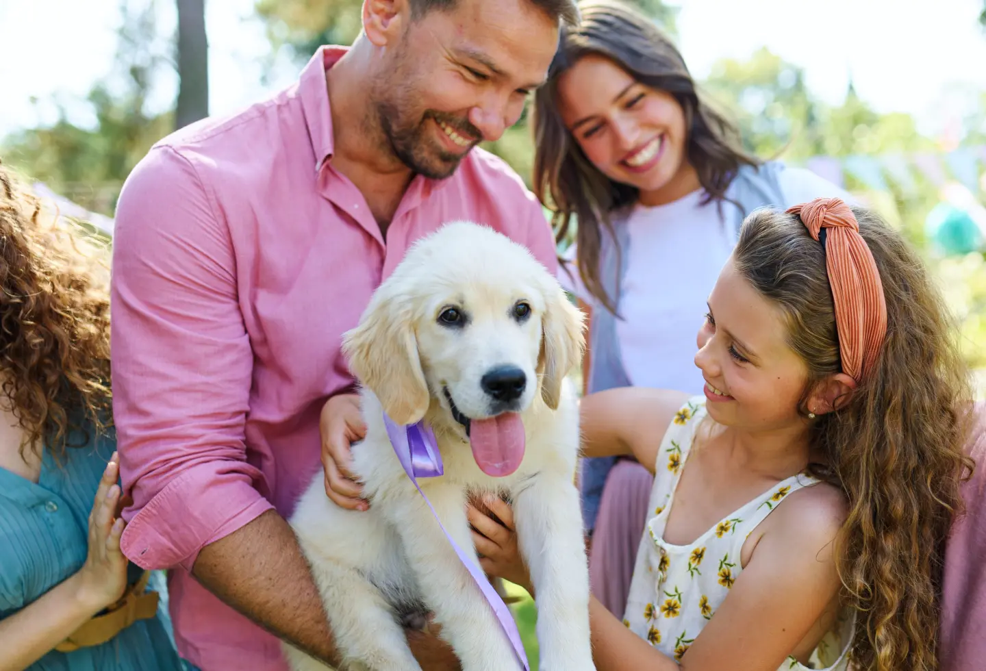 Find The Perfect Pet in Blue Springs